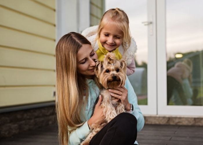 yorkies and children