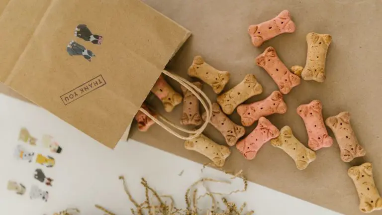 Best Dog Treats For Yorkies