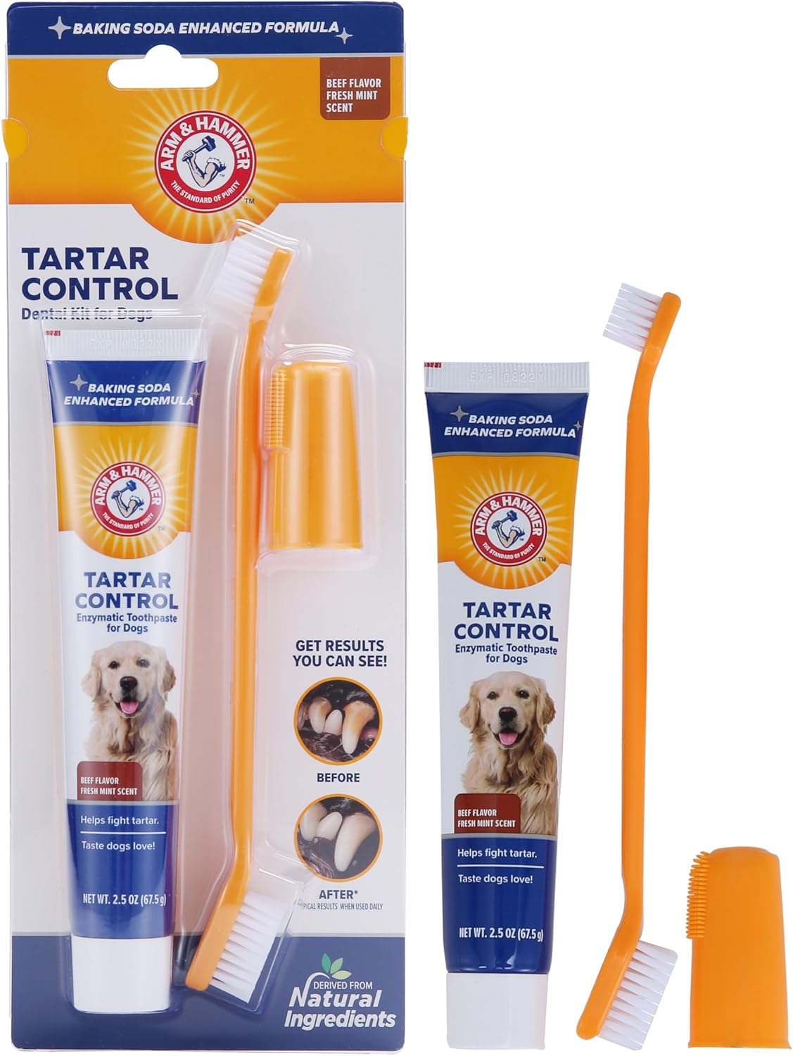 Dog toothbrush and toothpaste set for Yorkies